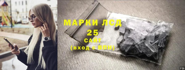 стаф Верея