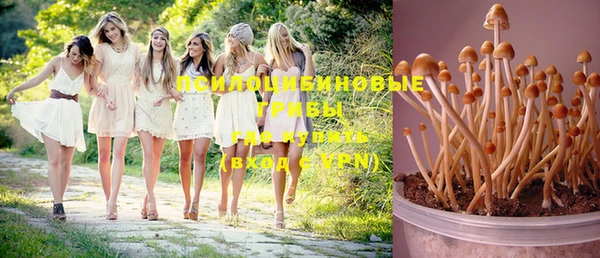 МДПВ Верхний Тагил