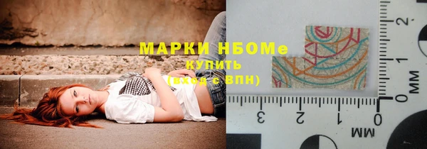 стаф Верея