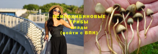 гидра Верхнеуральск
