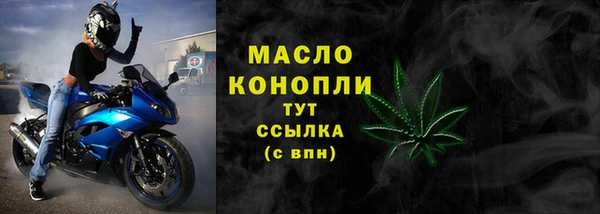 стаф Верея