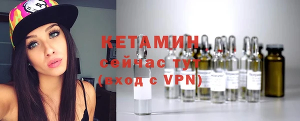 стаф Верея