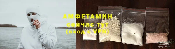 стаф Верея