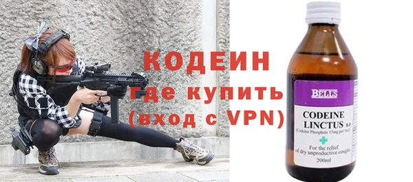 стаф Верея