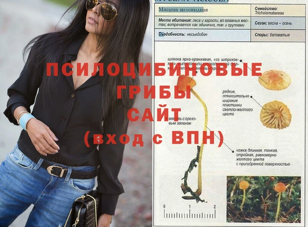 стаф Верея