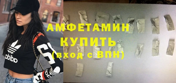 стаф Верея