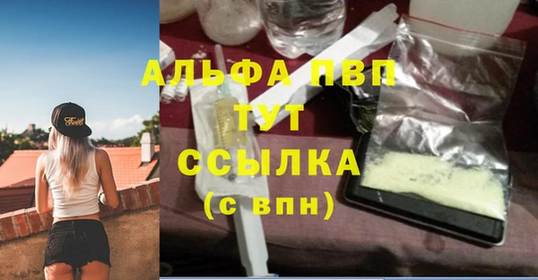 стаф Верея
